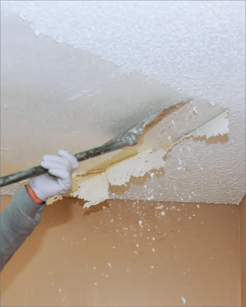 Popcorn Ceiling Removal detail image